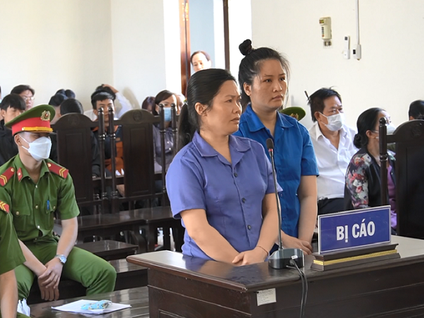 CLIP: Lừa đảo 29,5 tỉ đồng, chị chồng và em dâu trả giá đắt