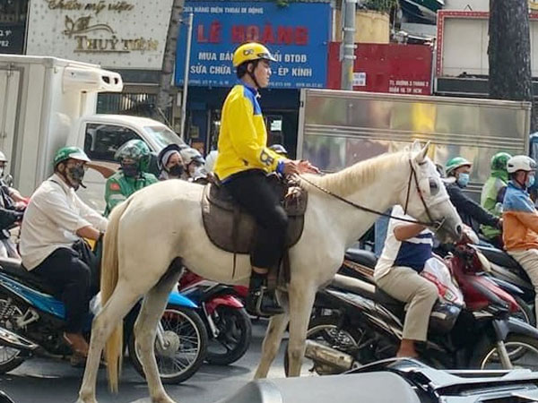 Bị xử phạt vì cưỡi ngựa ở trung tâm TP HCM