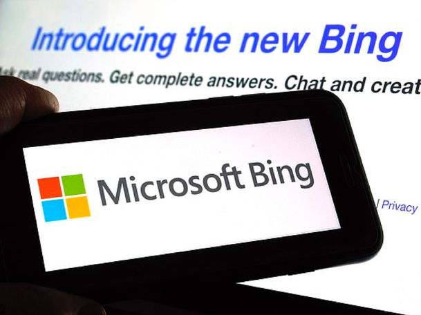 Chatbot khuyên người dùng... bỏ vợ