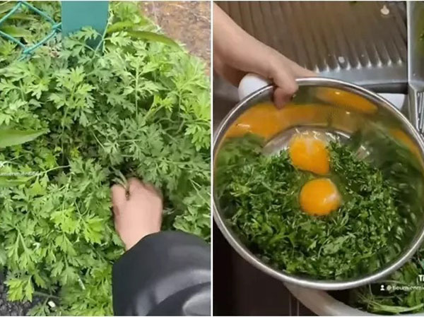 Sinh viên Việt ở Nhật ăn 'cỏ dại', dân bản địa tròn mắt ngạc nhiên