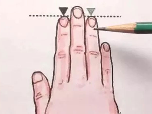 Độ dài ngắn giữa ngón trỏ và ngón đeo nhẫn hé lộ điều gì?