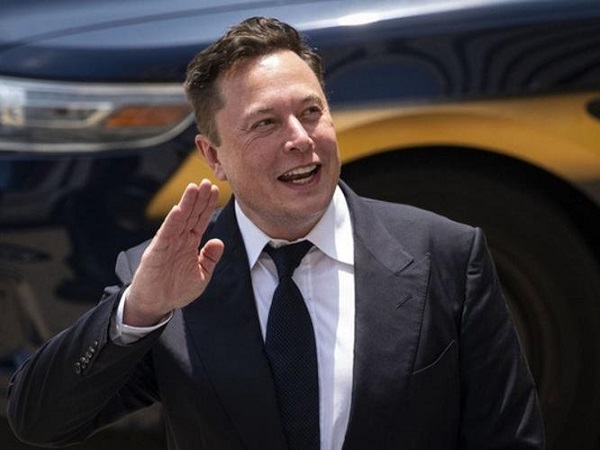 Elon Musk vừa bổ nhiệm 1 chú cún làm CEO Twitter, khiến giá khiến giá của hai memecoin tăng mạnh