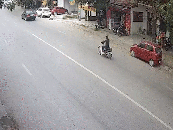 Clip: Thót tim khi cây hơn 10m bật gốc đổ xuống đường đúng lúc 2 cô gái đi xe máy qua