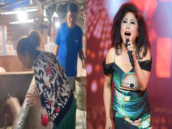Cuộc sống làm rẫy, nuôi heo của ca sĩ Siu Black sau khi rời showbiz