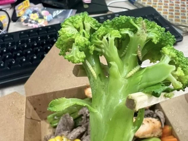 Vụ đặt đồ ăn Healthy nhận về cả đàn sâu trong rau: Phía nhà hàng nói gì?