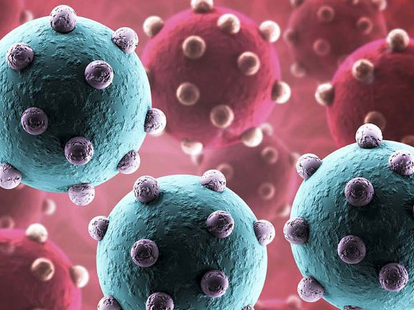 Bé gái 11 tuổi người Campuchia chết vì cúm gia cầm H5N1
