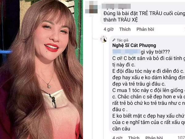 Cát Phượng đáp trả lời mỉa mai 'cưa sừng làm nghé'