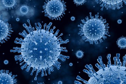TP HCM chỉ đạo khẩn ngăn lây lan bệnh cúm gia cầm H5N1