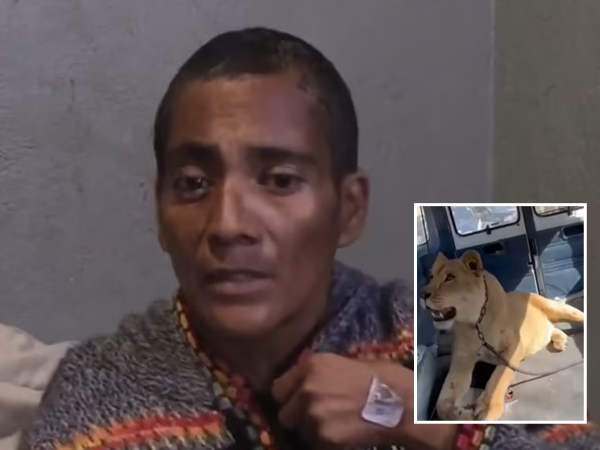 Bị sư tử tấn công, người phụ nữ đã có hành động bất ngờ khiến con vật cúp đuôi bỏ chạy