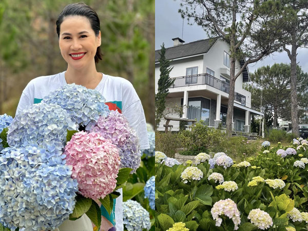Vướng nghi vấn tậu biệt thự tiền tỷ ở Đà Lạt, Thân Thúy Hà vội vàng lên tiếng đính chính