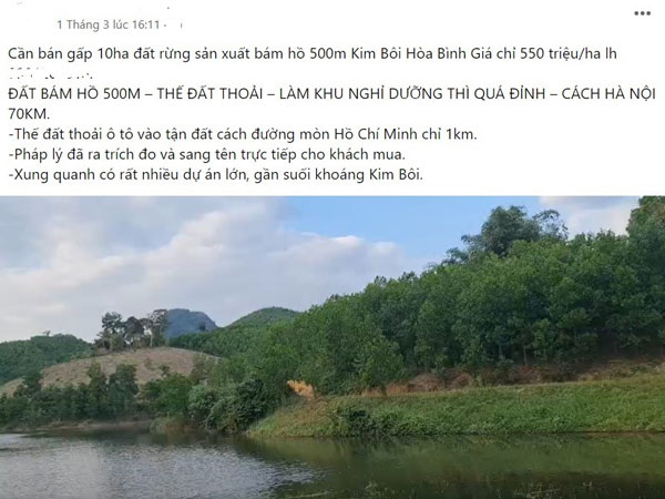 Rầm rộ rao bán đất rừng sản xuất, mỗi m2 giá bằng gói bim bim