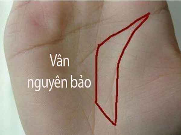 Tướng lòng bàn tay có hình thỏi vàng, vừa sinh ra đã có số hưởng cả đời