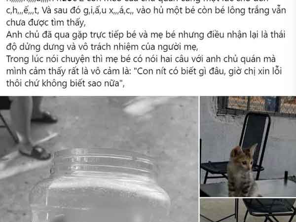 Xôn xao câu chuyện bé gái nhấn nước mèo đến chết rồi giấu xác, phản ứng của người mẹ càng gây phẫn nộ hơn
