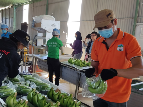 Em trai bầu Đức đăng ký bán sạch cổ phiếu HAGL