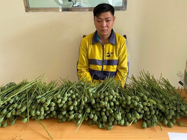 Bắt quả tang thanh niên bán cây thuốc phiện trước cổng trường đại học