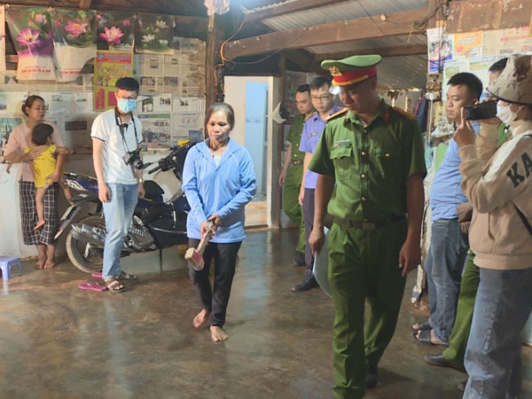 Vụ mẹ dùng búa đinh sát hại con trai: Án mạng từ bị kịch gia đình