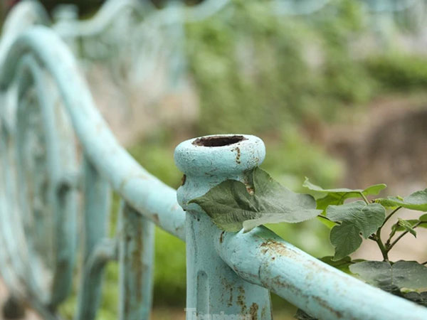 Hàng trăm quả cầu gang trên lan can Hồ Tây bị đánh cắp