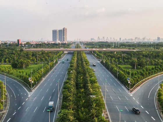 Vụ 'thổi giá cây xanh' Hà Nội: Đường đi của cây trồng nhập lậu từ Trung Quốc