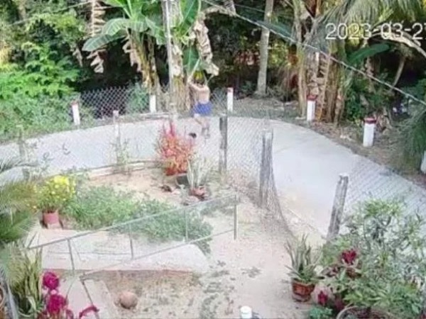 Người đàn ông dùng cây gỗ đánh hơn 20 nhát vào đầu khiến hàng xóm U70 tử vong