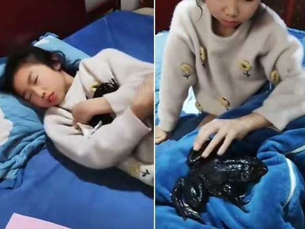 Nghe tiếng ếch kêu trong phòng con gái cả đêm, người mẹ lật chăn lên phát hiện hình ảnh kinh hãi
