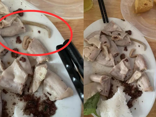 Đi ăn bún đậu mắm tôm, cô gái 'sốc tận óc' phát hiện con sán dài ngoằng trong lòng lợn