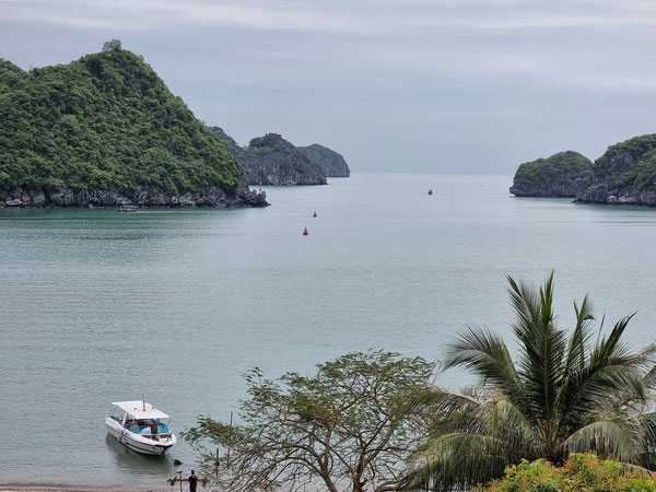 Thông tin bất ngờ trong vụ nữ du khách nước ngoài tố bị hiếp dâm khi nghỉ đêm trên Vịnh