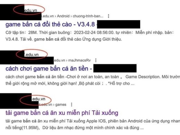 Gần 170 trang giáo dục tại Việt Nam bị cài nội dung cá độ, cờ bạc