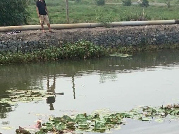 Đi hái sen cùng bạn, thiếu niên 17 tuổi đuối nước tử vong