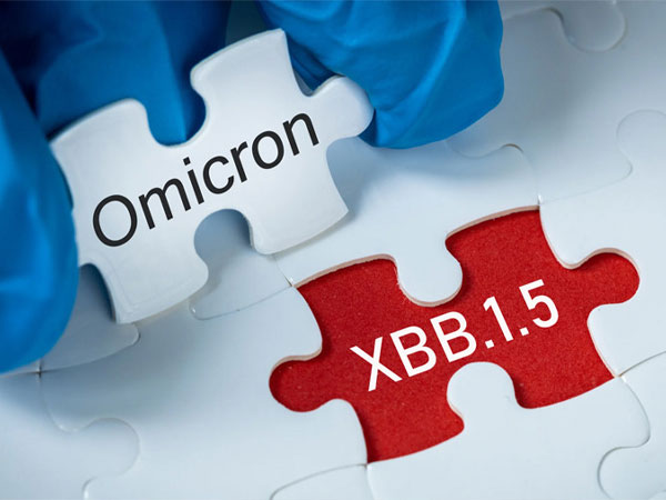 Triệu chứng khi nhiễm biến thể phụ XBB.1.5
