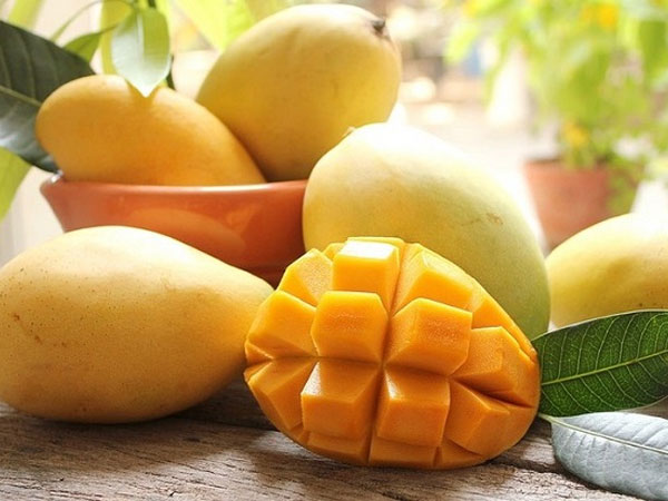 Vì sao xoài cát Hòa Lộc rớt giá còn 30.000 đồng/kg?