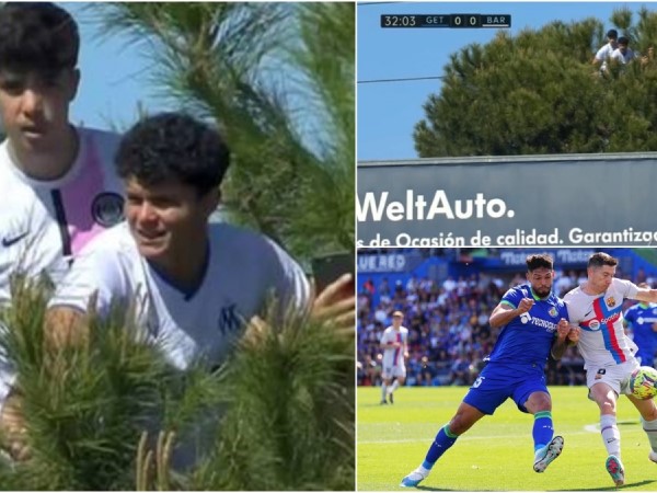 CĐV ngồi trên ngọn cây 'xem ké' trận đấu của Barca