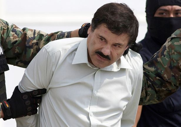 Con trai trùm ma túy El Chapo bị cáo buộc cho hổ ăn thịt đối thủ