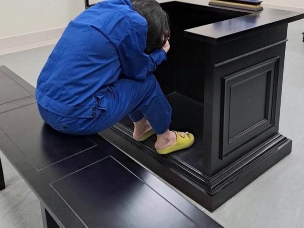 Giả danh thư ký của Tòa án Tối cao, lừa bán đất phát mại hơn 57 tỷ đồng