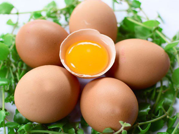 Các thực phẩm ngon nhưng người mắc bệnh thận cần tuyệt đối tránh