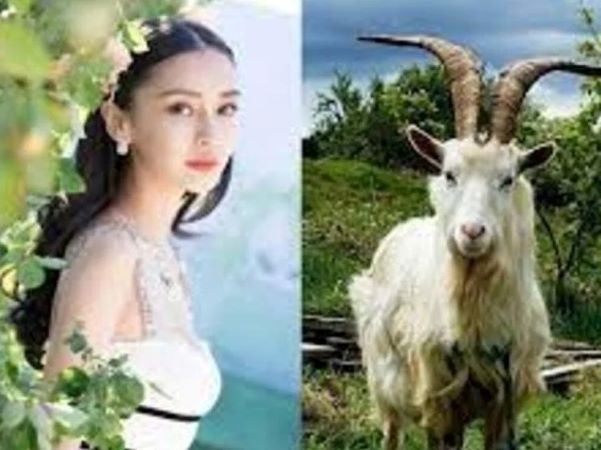 Đúng hôm nay 8/5: 4 tuổi 'cá chép hóa rồng', vận trình thăng tiến, tiền tiêu rủng rỉnh