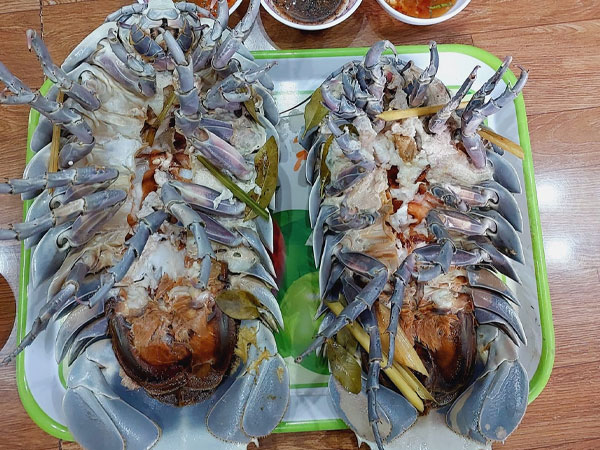 Đặc sản kỳ dị đắt hơn tôm hùm, nhà giàu 'thèm cũng khó mua'