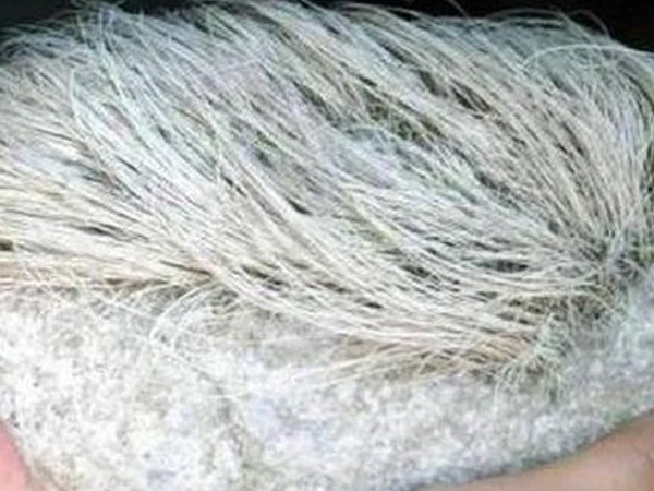 Cụ ông nhặt được viên đá 'mọc tóc bạc phơ', chuyên gia lập tức yêu cầu phong tỏa cả làng