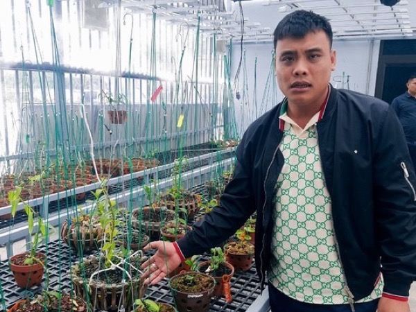 Truy tố 2 'đại gia sinh đôi' lan đột biến ở Quảng Ninh