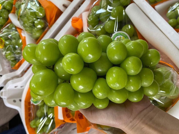 Giá cao hơn hàng Úc, nho Trung Quốc đổ bộ chợ bán ‘đắt như tôm tươi’