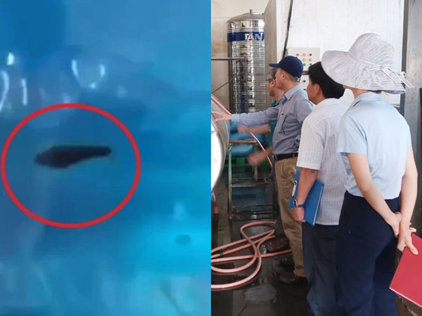 Tổng kiểm tra nhà máy sản xuất nước tinh khiết…có đỉa, phát hiện điều gì?