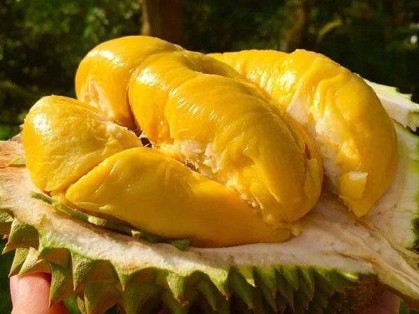 Sầu riêng Việt bán tại siêu thị Vương quốc Anh, 400 nghìn đồng/kg