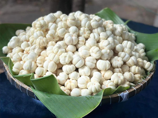 Măng cụt xanh bỏ vỏ hơn nửa triệu/kg gây sốt, chục nghìn tấn vẫn chẳng dễ mua