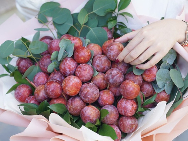 Mận Việt sang Hong Kong 400.000 đồng/kg có gì khác biệt?
