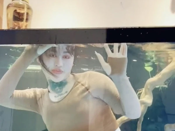Hotgirl TikTok chấp nhận chui vào bể cá 'làm trò' để nhận tiền dù mắt vừa phẫu thuật