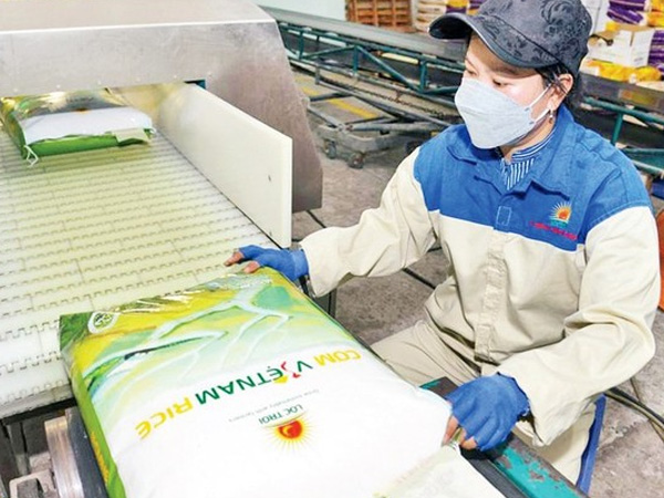 Xuất khẩu gạo tăng chưa từng có, vì sao doanh nghiệp vẫn báo lỗ?