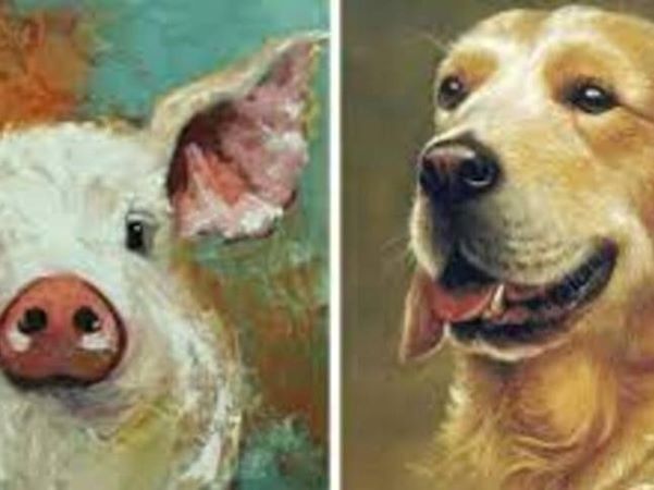 Cuối tuần (20-21/5): 3 con giáp Bồ Tát hiển linh ban phước, may mắn trăm bề, tiền bạc phủ phê, khai thông vận mệnh