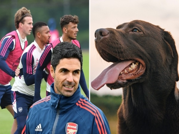 Arsenal chưa từ bỏ đua vô địch, HLV Arteta dắt chó đến sân tập 'lấy may'