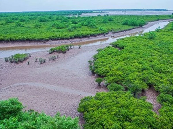Thông tin mới vụ học sinh và phụ huynh ở Hà Nội tử vong trong chuyến trải nghiệm bắt ngao