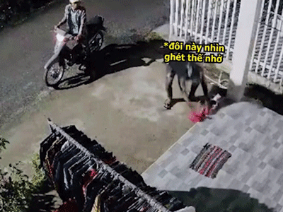 Đi trộm dép nhưng gặp trúng màu mình ghét, thanh niên có hành động khiến ai nấy cũng bất ngờ
