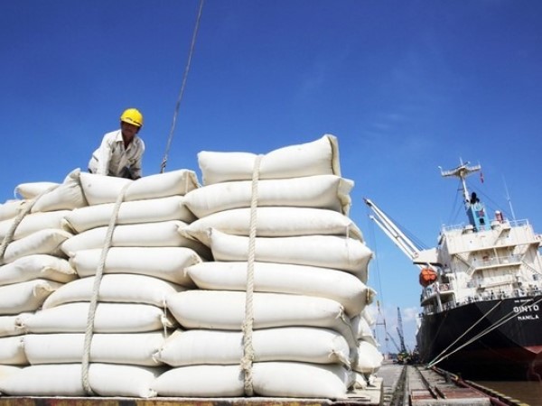 Gạo Việt 'rộng cửa' vào thị trường châu Phi